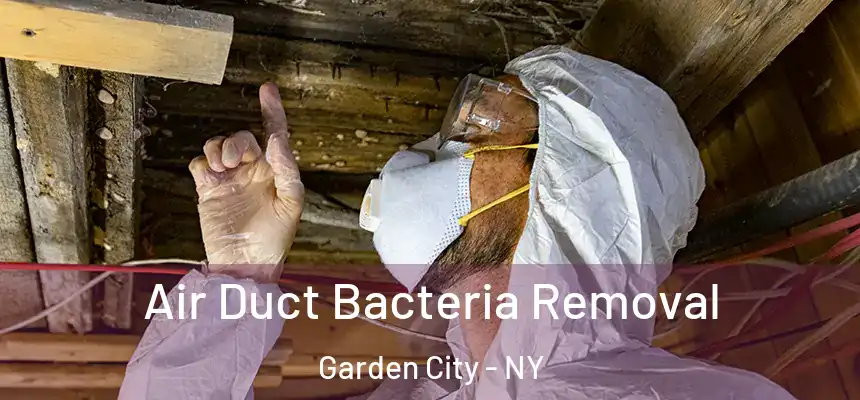  Air Duct Bacteria Removal Garden City - NY