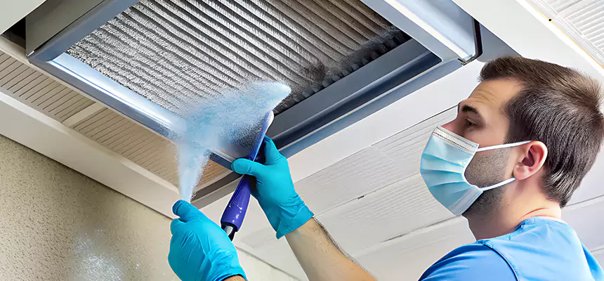 Proactive Dryer Vent & Auxiliary Duct Pollen Cleanup in Garden City, NY