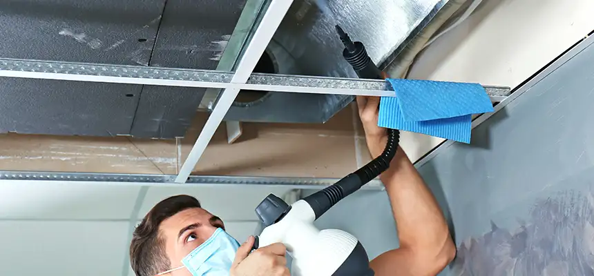 Our Air Duct Rodent Removal Services in Garden City, NY