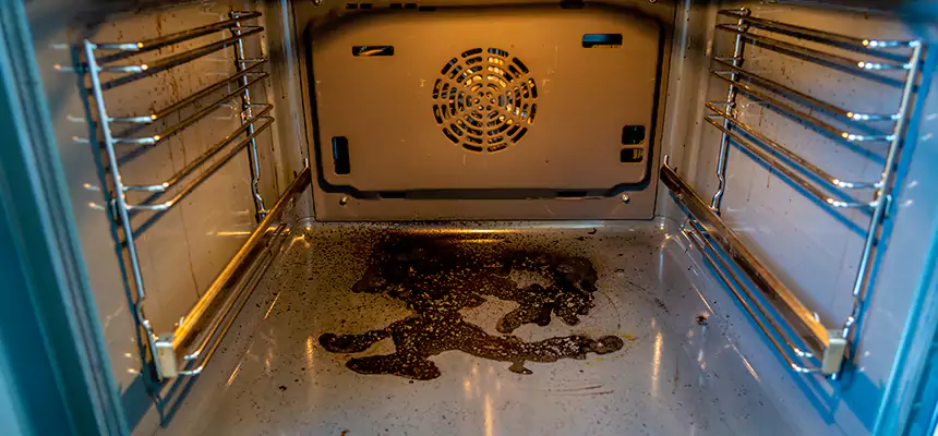 Our Dryer Vent Mold Cleaning Services in Garden City, NY