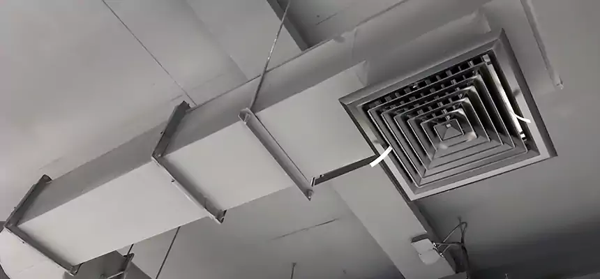 Our Pest Removal From Ducts Services in Garden City, NY