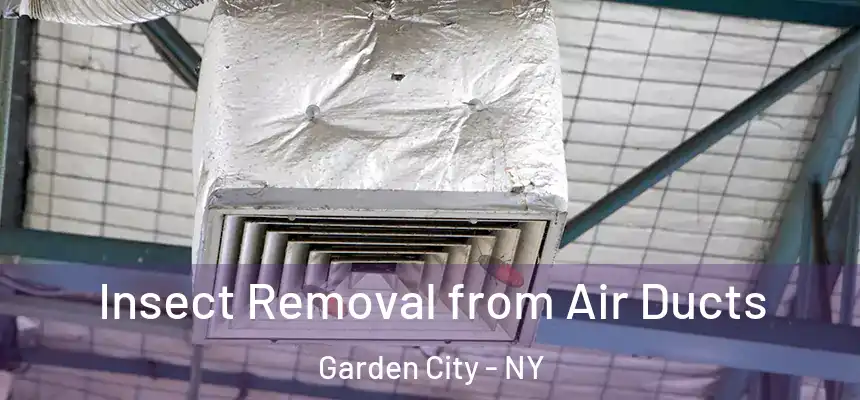  Insect Removal from Air Ducts Garden City - NY