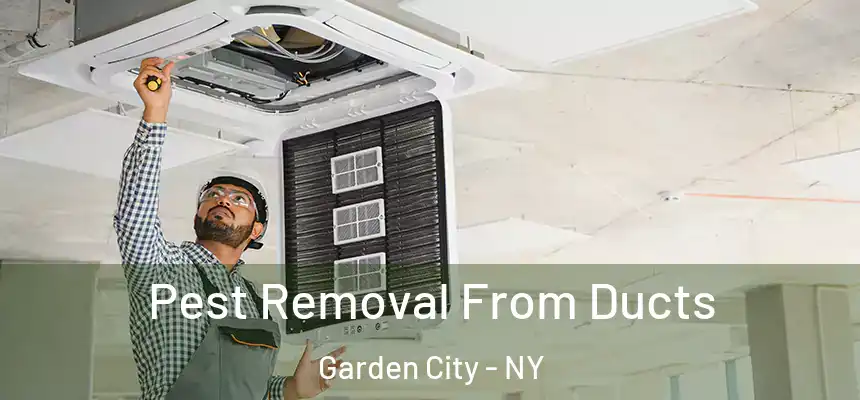  Pest Removal From Ducts Garden City - NY