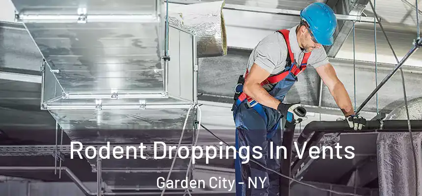 Rodent Droppings In Vents Garden City - NY