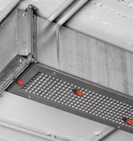 About Air Duct Cockroach Removal in Garden City, NY