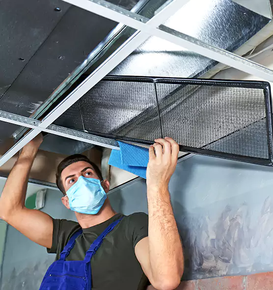 Professional Air Duct Pollen Cleaning in Garden City, NY