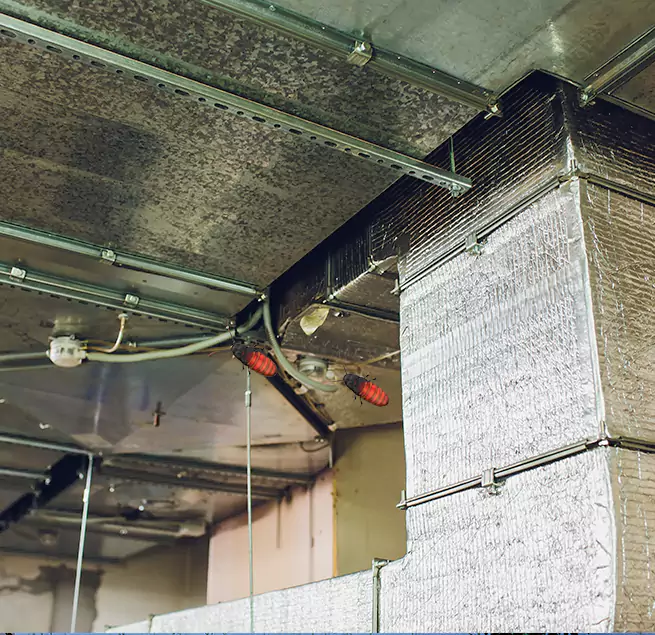 Why Homeowners & Businesses Trust Us in Garden City, NY?