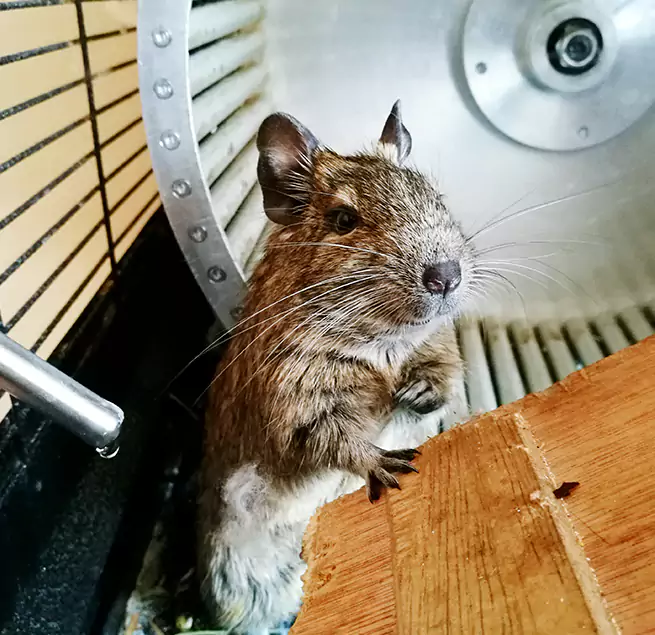 Why Homeowners & Businesses Trust Us Garden City, NY