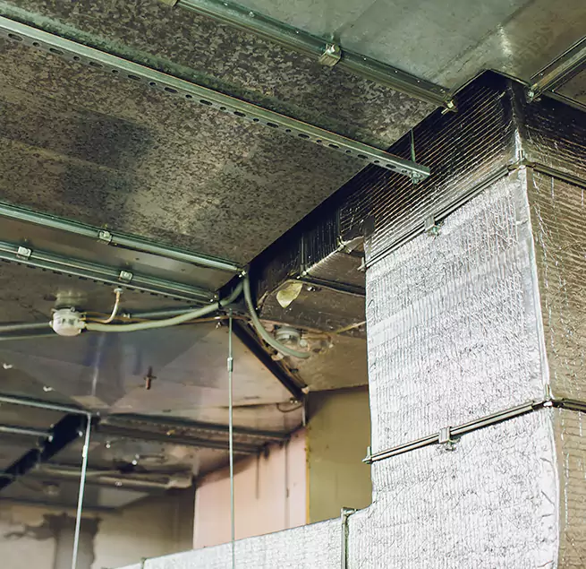 Why Homeowners & Businesses Trust Us in Garden City, NY?